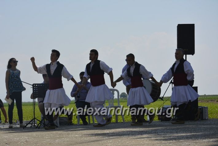 alexandriamou.gr_trikala28.5.2018069